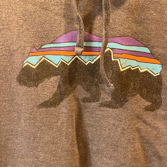 Patagonia M's Fitz Roy Bear Uprisal Hoodie - Picture 4 of 4